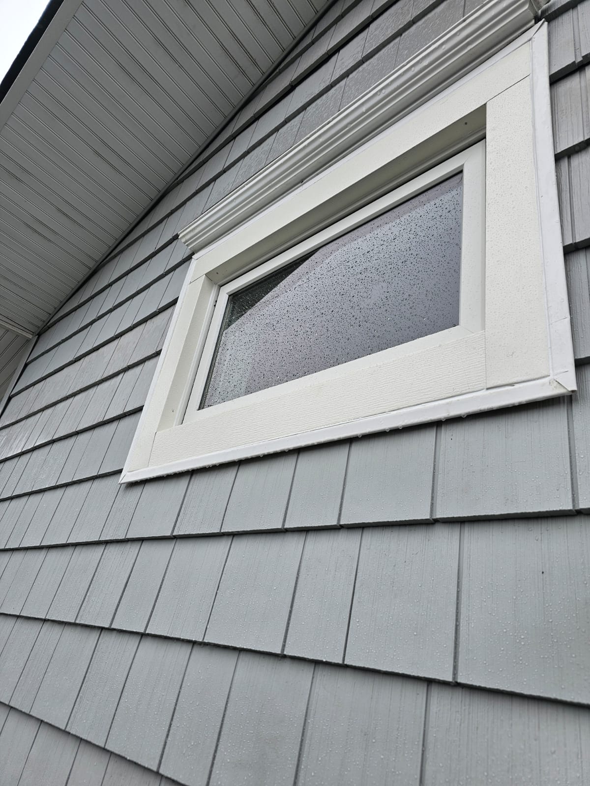 Siding Repair 3